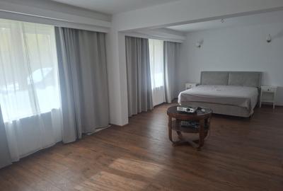 Inchiriez Vila 5 camere in Padurea Snagov, Silistea Snagovului - 11