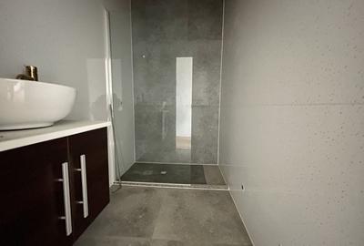 Pensiune cu piscina in constructie - 6