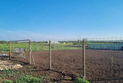 Vanzare Teren rezidential Cernica Posta 750mp Vanzare Teren rezidential Cernica Posta 750mp - 3