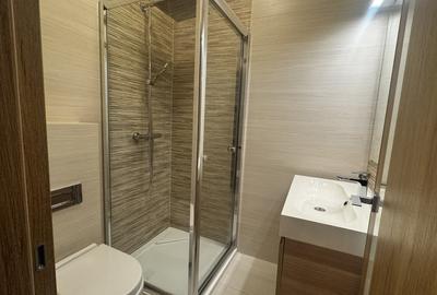 Inchiriere apartament de 3 camere Domenii-1 Mai - 9