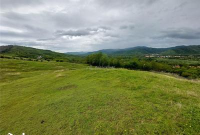 Teren de 10000 mp, în Pănătău - 6