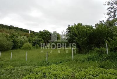 Teren Construcții intravilan de 994 mp, în Budiu Mic - 4