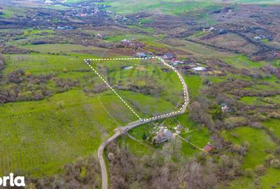 Teren de 33500 mp, în Bucov - 5