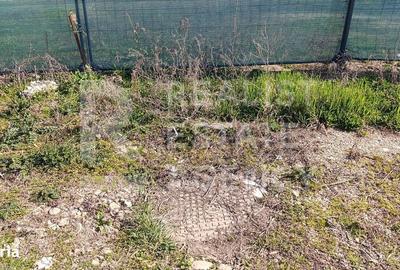 Spațiu comercial, în Dudeștii Noi - 6