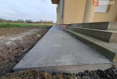 Casa cu 5 camere, 236 mp, teren 5805 mp, gaz, Brestea - Denta - 45