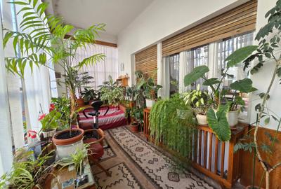 Apartament deosebit in centrul  Timisoarei, cu terasa si curte - 4