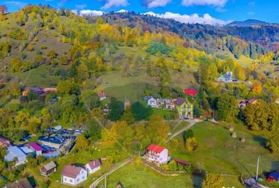 Teren de 1564 mp, în Moieciu - 8