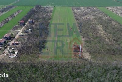 Teren de 2000 mp, în Săbăreni