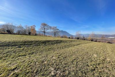 Teren intravilan loturi intre 500 si 1000 m, la 5 km de Moieciu - 12