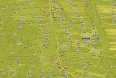 Teren extravilan- loc Bustuchin, Jud Gorj - 2