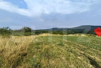 Teren de 6500 mp, în Central