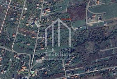 Teren de 250 mp, în Roșia - 1