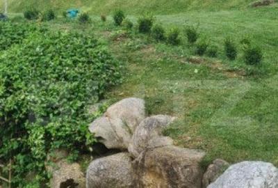 Vila 7 camere, 240mp, 1253mp teren, Fieni - 6