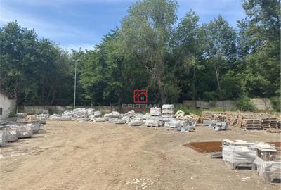 Teren Alexandria - Centura, TELEORMAN - 12