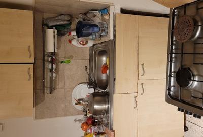 Vanda casa in Timisoara - 7