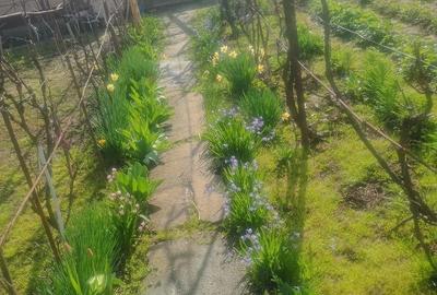 Casă cu Teren 530 Mp în Central - 5