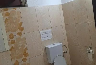 Spatiu de inchiriat - 6