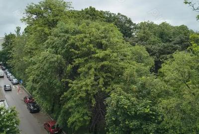 Apartament cu 4 camere decomandat în Central - 2