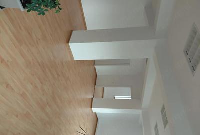 Spațiu comercial, de 791 mp, în Tudor Vladimirescu - 4