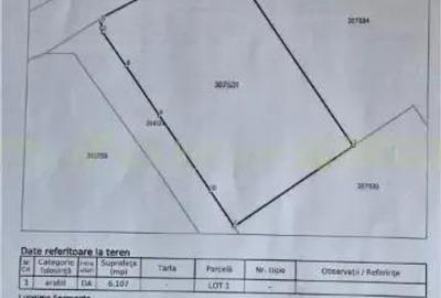 Pecica, jud Arad, 6ha teren de vanzare Pecica, jud Arad, 6ha teren de vanzare - 10