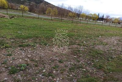 Teren Construcții intravilan de 1000 mp, în Viișoara - 1