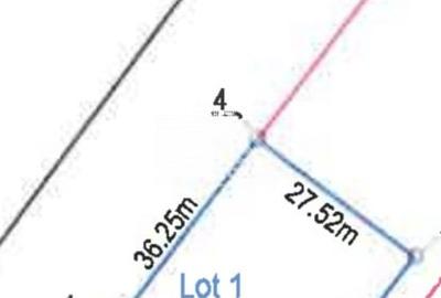 Teren Valea Avrigului - zona turistica 2000mp - 7