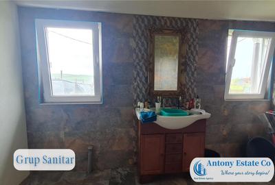 Green Field - casa de , 10 KM de Oradea, Betfia, Bihor - 11