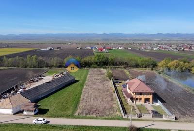 Teren Construcții intravilan de 2063 mp, în Podoleni - 10