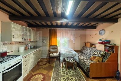 Casa cu 3 canere in Ghelari - 7
