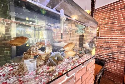 BUSINESS la CHEIE - RESTAURANT - PIZZERIE I DRISTOR I Since 2000 ! - 17