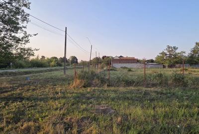 Teren intravilan în localitatea Berini - 6