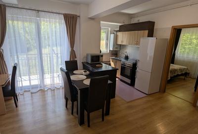 Apartament cu 2 camere semidecomandat, mobilat în Mănăștur - 1