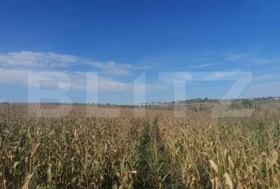 Teren de 3000 mp, în Miroslava