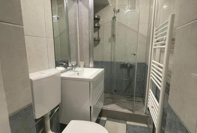 Apartament cu 2 camere semidecomandat, mobilat în Gara de Nord - 13