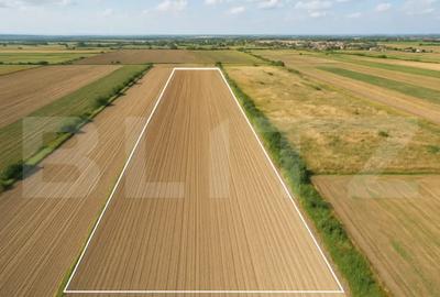 Teren de 11600 mp, în Stupini