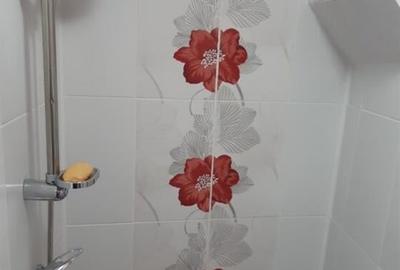 Apartament cu o camera zona Centrala - 9