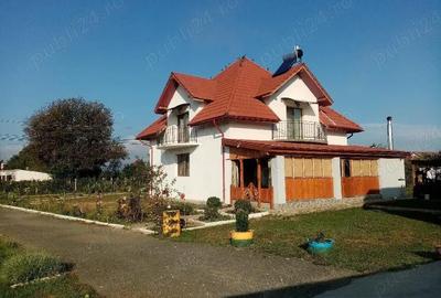 Casă cu Teren 2400 Mp în Vărădia de Mureș - 4