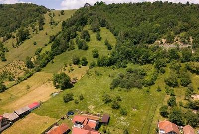 View superb:intravilan,constructie rezidenta/hotel,2.327 mp,Moieciu de Jos, Bran - 34