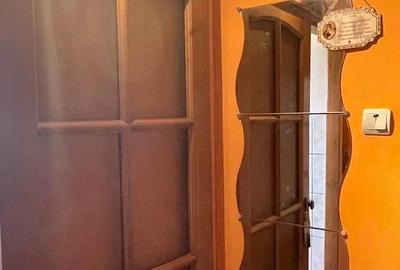 Apartament cu 3 camere decomandat în Paltiniș - 5