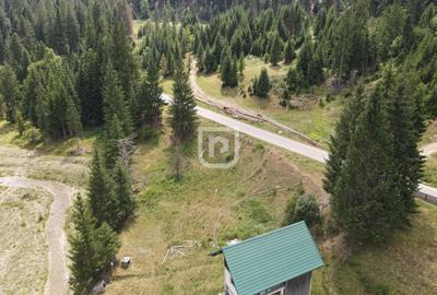 Teren Construcții intravilan de 4742 mp, în Voroneț - 5