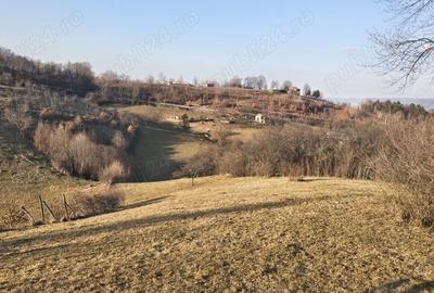 Teren de 21504 mp, în Bratca - 1