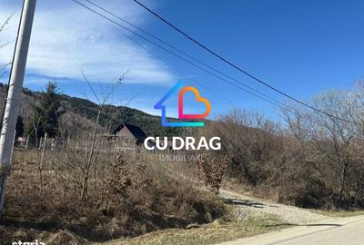 Spațiu comercial, în Sibiel - 3