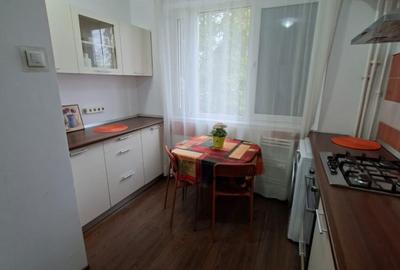 Apartament cu 3 camere semidecomandat în Nicolae Grigorescu - 3