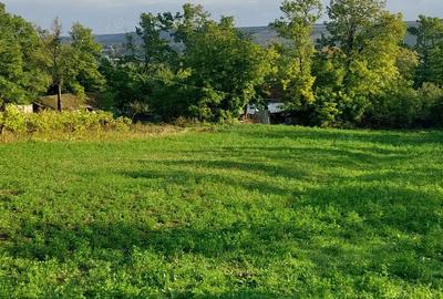 Casă în Chișcăreni - 2