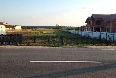 Teren de 2000 mp, în Dorolț - 3