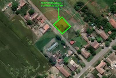 Teren în Variașu Mare - 1