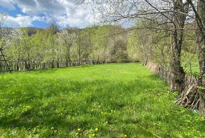 Teren de 1220 mp, în Teșila - 10