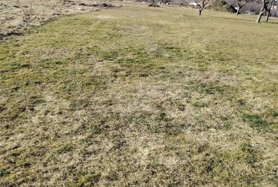 Teren Construcții intravilan de 2087 mp, în Exterior Sud - 1