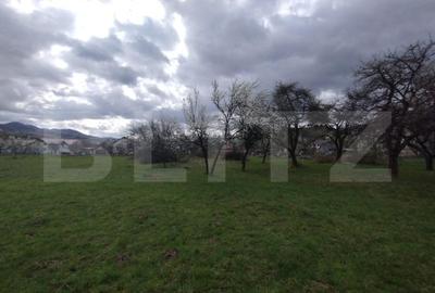 Casa 80mp, teren 7500mp , intravilan, zona Valea Bargaului - 4