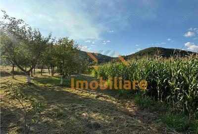 Casă cu 2 camere cu Teren 6754 Mp în Lăzăreni - 7